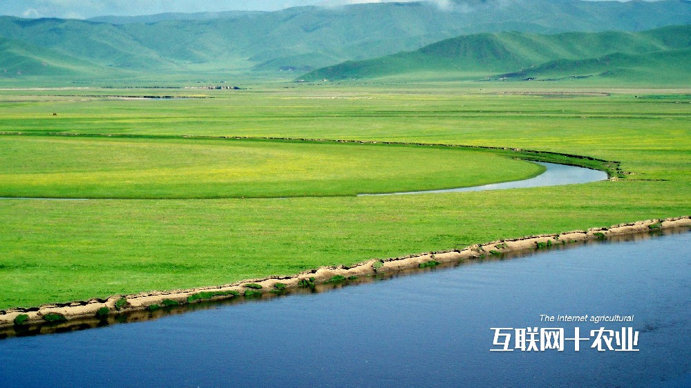 我們如何養活世界？面向未來的智能農業