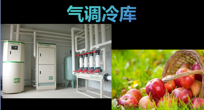 氣調冷庫氣體濃度監