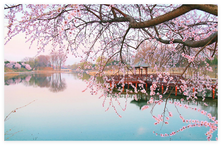花粉實時監測告別花粉過敏焦慮